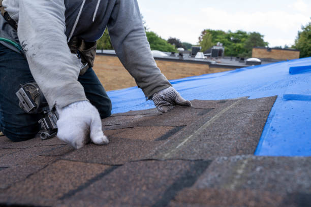 Best Shingle Roofing Installation  in St Augusta, MN