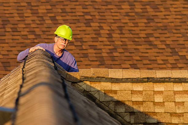 Best Flat Roof Repair Services  in St Augusta, MN