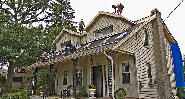 Professional Roofing Contractor in St Augusta, MN